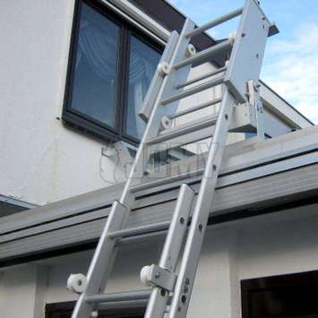 cat ladders for flats